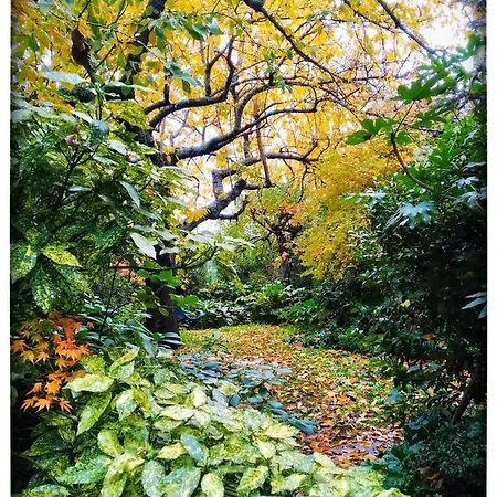 Jardines Del Robledo-albar * San Miguel del Robledo
