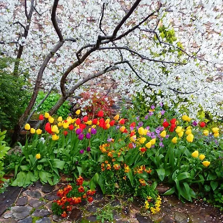 Jardines Del Robledo-albar
